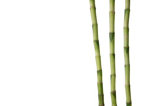 生活