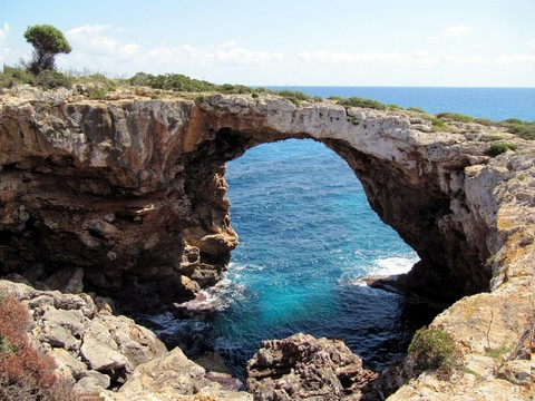 cova des pont