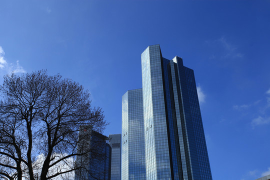 城市
