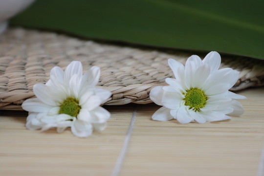 健康狀況