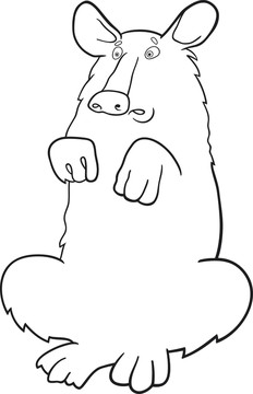 動(dòng)物