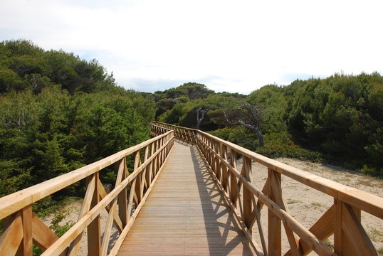 木橋