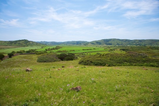 田