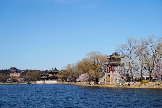 春光無限