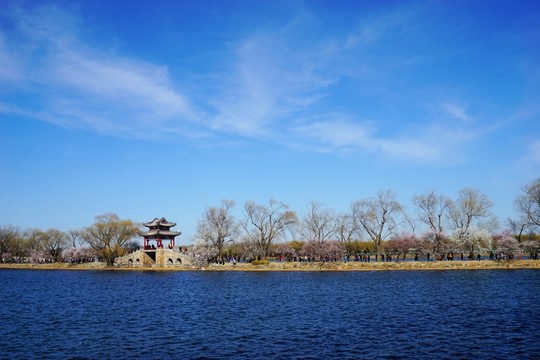 春光無(wú)限
