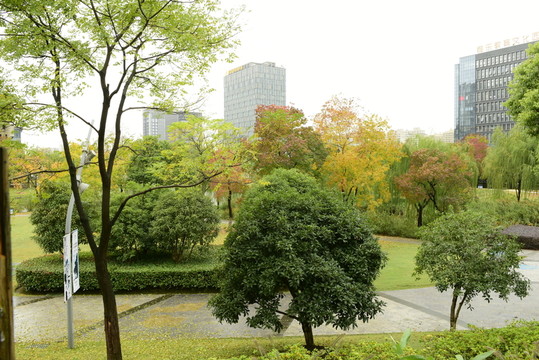 遠香湖公園