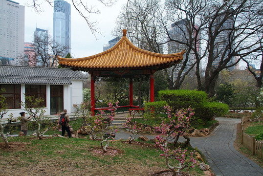 大連勞動公園園中園2