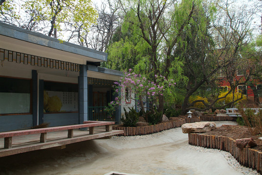 大連勞動(dòng)公園內(nèi)景1