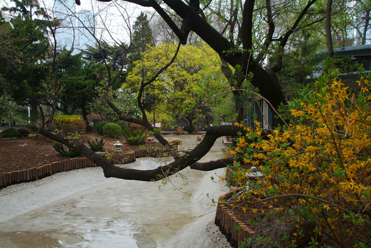 大連勞動公園內(nèi)景5