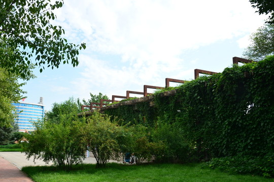 公園