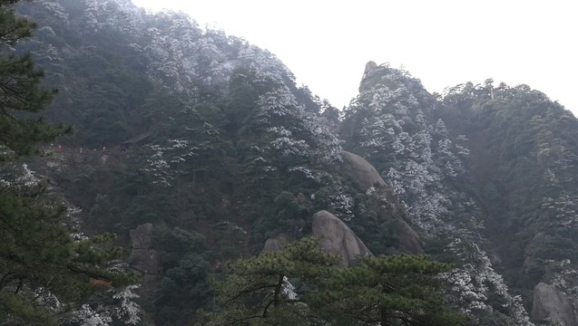 懸崖峭壁的積雪