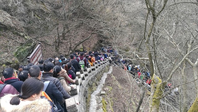 來(lái)往游客絡(luò)繹不絕