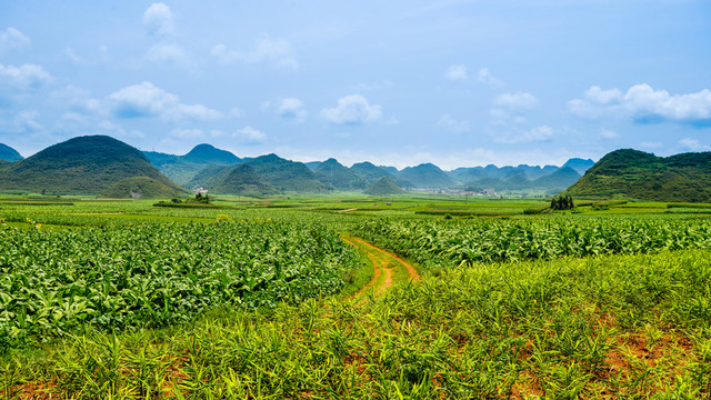 羅平風(fēng)光