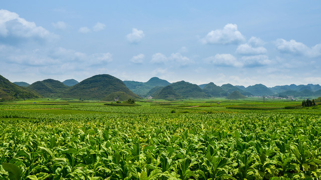 羅平風(fēng)光