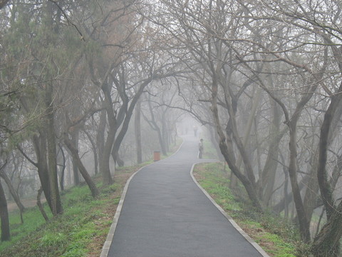 蛇山步道