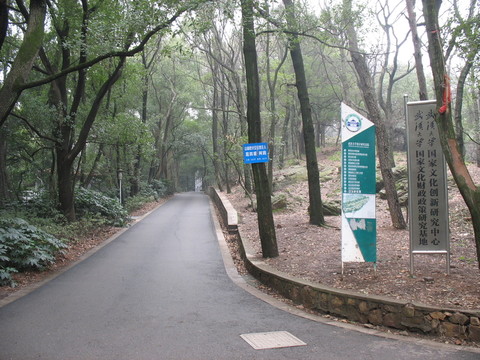 林間道路