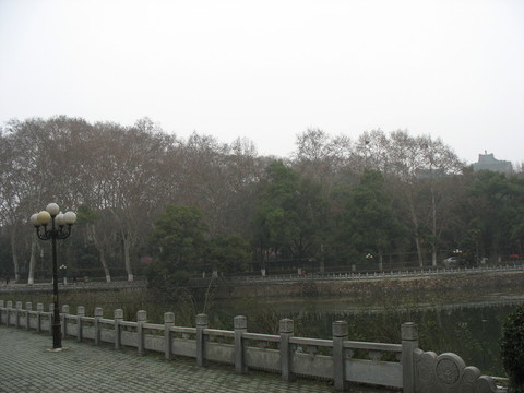 湖邊