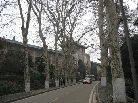 武大建筑