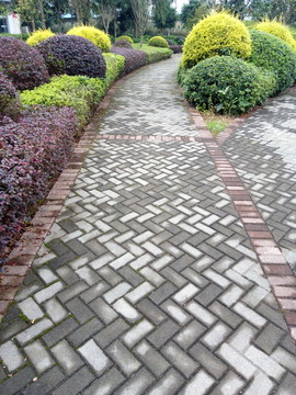 公園小路