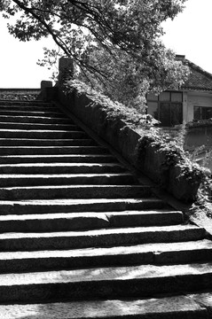 拱橋