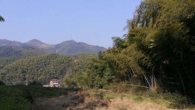 村里的風(fēng)景可好