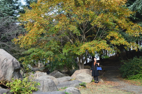 冬日午后的森林公園
