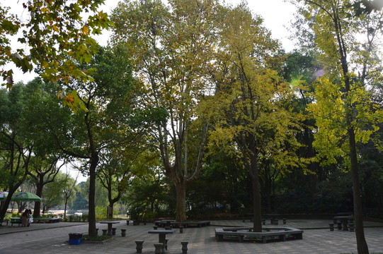 森林公園一角