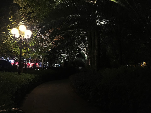 騰沖夜景