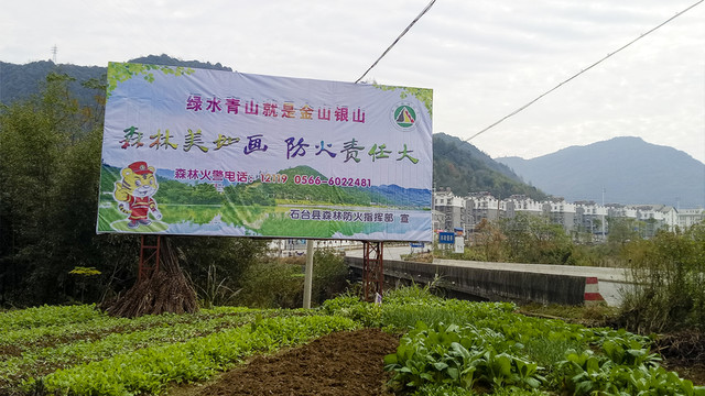 森林防火公益廣告