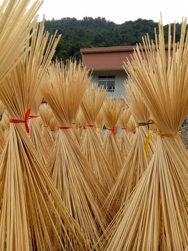 曬竹絲