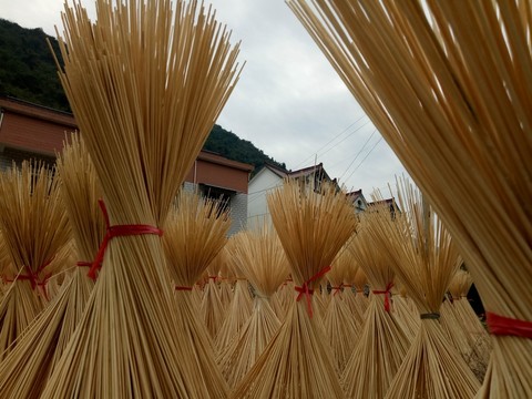 曬竹絲