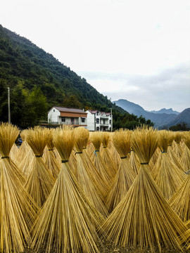 竹絲加工