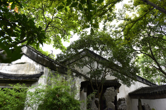 蘇州留園的景觀