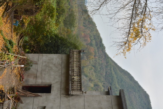 秋色