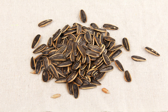 香瓜子 西瓜籽 農(nóng)副產(chǎn)品