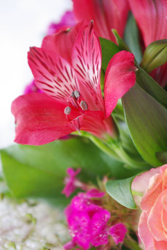 花