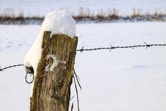 雪圓頂