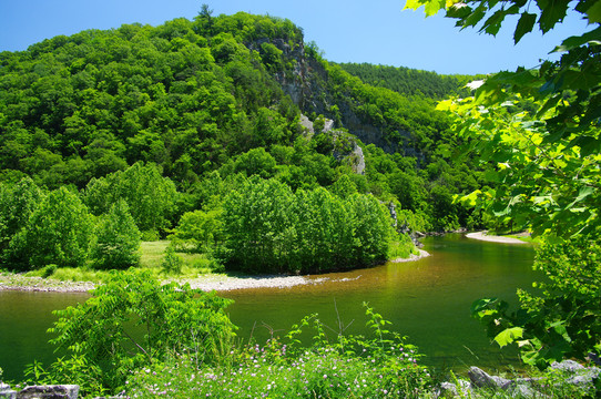 山