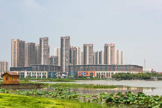 蓮花湖公園景觀