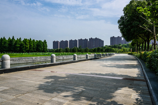 蓮花湖公園景觀