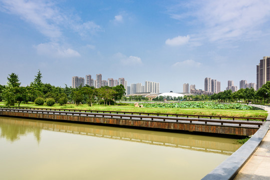 蓮花湖公園景觀