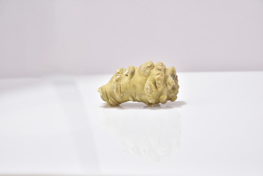 長(zhǎng)三七