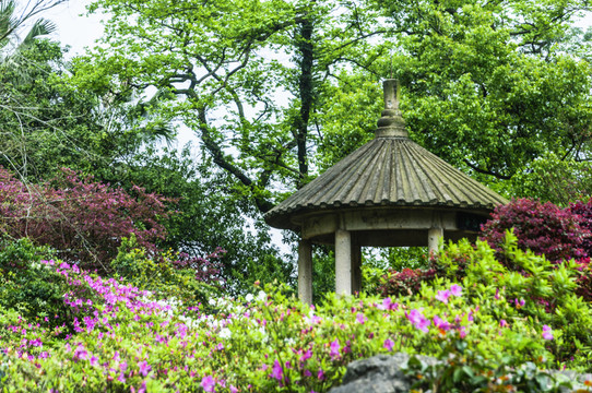 公園小景