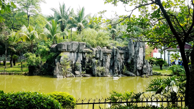 假山 公園 園林景觀