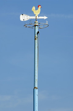 風(fēng)向標(biāo)
