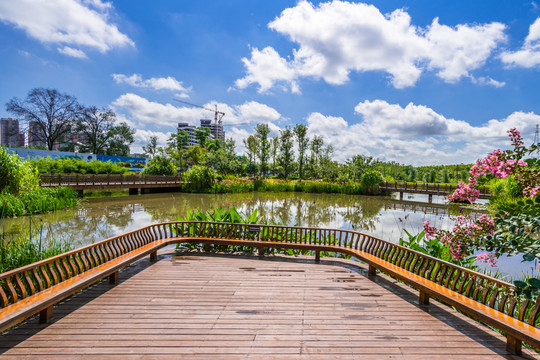 濕地公園景觀