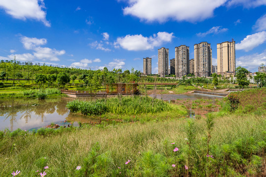 濕地公園