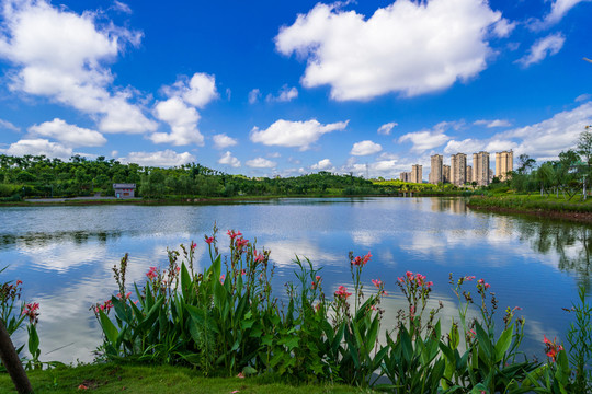 公園湖泊