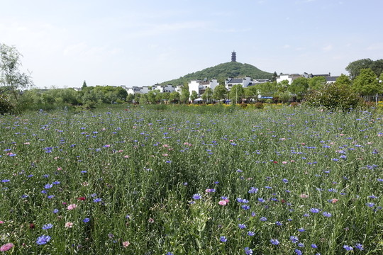 椏溪鎮(zhèn)