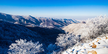 冬日雪景
